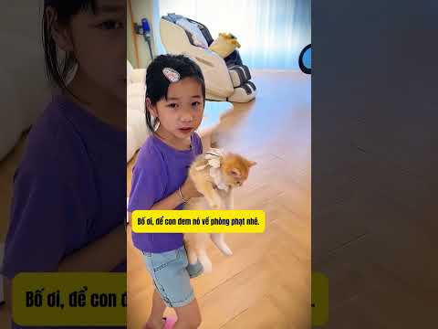 Chó Mèo Lập Mưu Đuổi Bố Ra Rìa 😱🐶 thumbnail