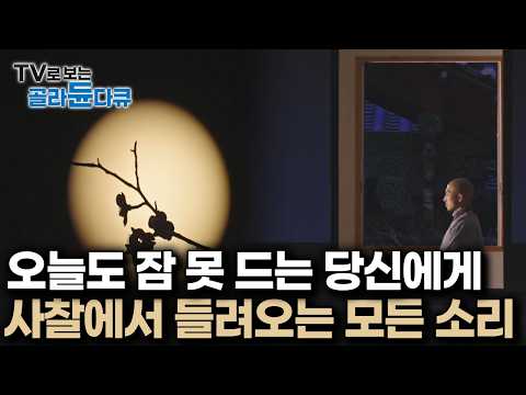 [수면 다큐] 심신 안정되는 목탁 소리부터, 자연 속 고요히 수행하는 스님들의 일상까지｜당신의 불안한 밤을 잠재워드립니다｜#골라듄다큐 thumbnail