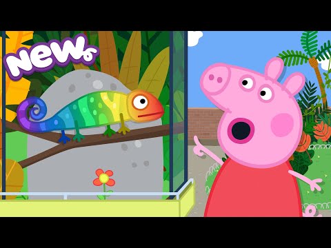 Peppa Pig Tales 2026 🦎 ESCAPE From the Zoo 🌿 Camouflaging Chameleon 🫥 BRAND NEW Peppa Pig Episodes thumbnail