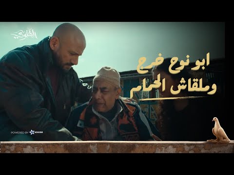 أبو نوح خرج من السجن.. واتصدم لما شمس قاله إن الحمام اتدبح! ?? شوف اللي حصل! #الغاوي thumbnail