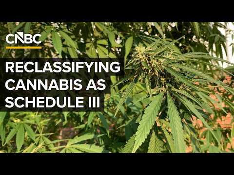 What The Trump Administration's Cannabis Reclassification Means For The Drug thumbnail