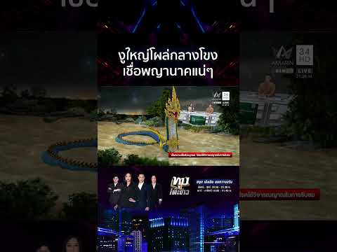อัศจรรย์กลางงานบวงสรวง งูใหญ่โผล่ว่ายทวนน้ำเชื่อพญานาค | ทุบโต๊ะข่าว thumbnail