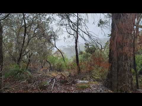 Flint and Steel track, rain thumbnail