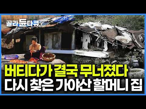 12년 전 150만 명이 봤던 가야산 너럭바위 할머니 집. 똑같은 제작진이 다시 찾아가 봤더니｜한국기행｜#골라듄다큐 thumbnail