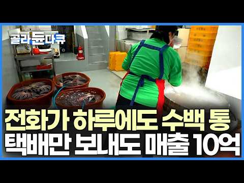 30년째 전화 조용한 날이 없다, 전국으로 보내는 문어에 연 매출 10억을 찍은 묵호항 큰손｜한국기행｜#골라듄다큐 thumbnail