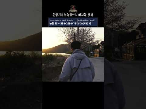 어느 입양기피 누렁이와의 마지막 산책 #견생역전_에나 thumbnail