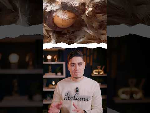معجزة بتحصل كل يوم مليار مرة! thumbnail