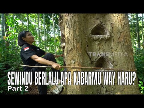 SEWINDU BERLALU APA KABARMU WAY HARU? | INDONESIAKU (25/05/26) Part 2 thumbnail
