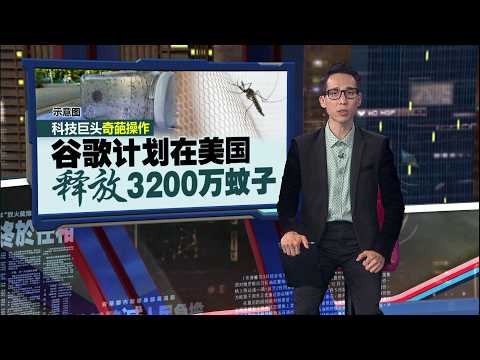 科技巨头奇葩操作  谷歌要释放3200万蚊子 | 新闻报报看 31/05/2026 thumbnail