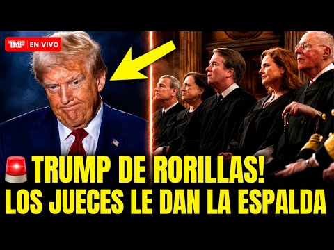 🚨 TRUMP QUEDA DE RODILLAS! JUECES Y ABOGADOS SE REVELAN! TODO SALE A LA LUZ! thumbnail