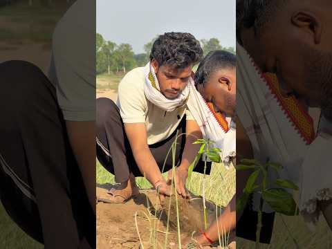 Chalo aaj sabhi log ped lagate hai 🥰 #pryavarandiwas #pedlagao #harshpushptode #harshbhau #friends thumbnail