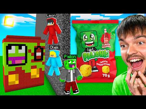 OSZUKUJĘ w BUDOWANIU CHRUPKÓW PALIONKI w Minecraft! thumbnail