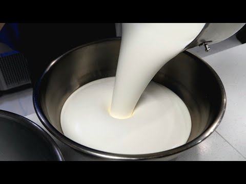 이건 그냥 치즈 퍼붓는 수준! 인기있는 치즈 폭탄 케이크, 치즈 디저트 몰아보기 The Ultimate Korean Cheese Dessert & Cake Compilation thumbnail