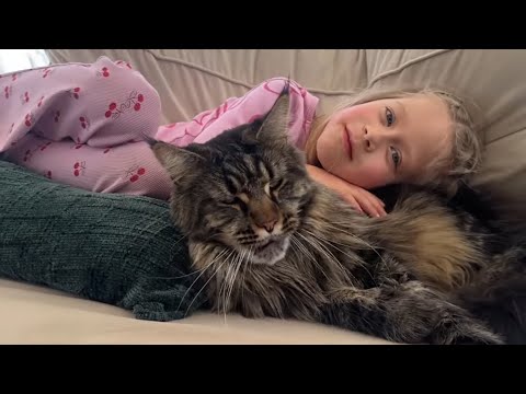 Their Bond Is Precious! Giant Cat Loves Little Girl!! (Cutest Ever!!) thumbnail