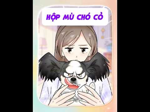Hộp mù chó cỏ! thumbnail