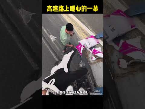 高速路上暖心的一幕☺️ #感人壹幕 #科普 #影視解説 #funny #animals #大熱門 #影视聚焦#正能量  #精彩影视 thumbnail