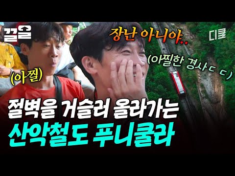 아찔한 경사를 자랑하는 전망대 가는 길? 산 위를 올라가는 기차 푸니쿨라⁉️ | 텐트밖은유럽 thumbnail
