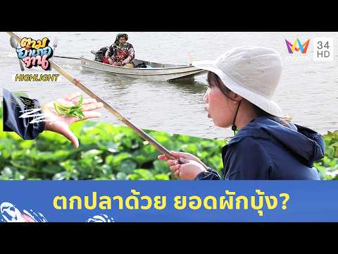 ตกปลาด้วย ยอดผักบุ้ง? เคล็ดลับสายเบ็ดชาวท่าจีน | ตามอำเภอจาน HIGHLIGHT thumbnail