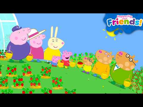 Peppa Pig & Friends Go Strawberry Picking! 🍓 | Full Episodes | 45 MINS thumbnail