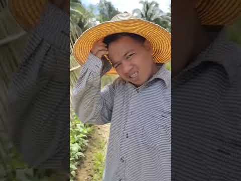 anak ngancu amang??? thumbnail