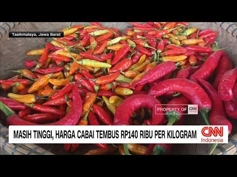 Masih Tinggi, Harga Cabai Tembus Rp140 Ribu per Kilogram thumbnail