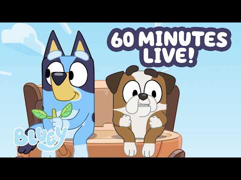 🔴LIVE: Bluey's Helicopter Adventure 🚁 | Transport Game + ONE HOUR CLIPS 💙 | Bluey thumbnail