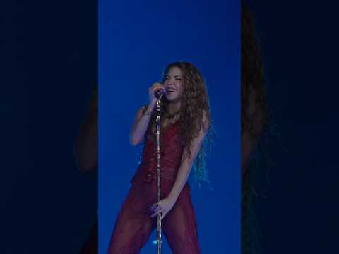 Sin duda, uno de los momentos mas increíbles de este show.  #LMYNLWorldTour thumbnail