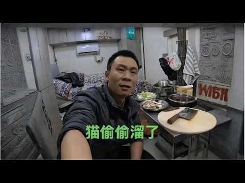 夫妻货车自驾，大晚上猫偷偷溜了，打着手电找半天没找到，还好玩够它自己回来了 thumbnail