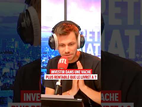 Investir dans une vache, plus rentable que le livret A ? thumbnail