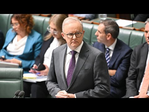 Government awaiting tax concession options for businesses thumbnail