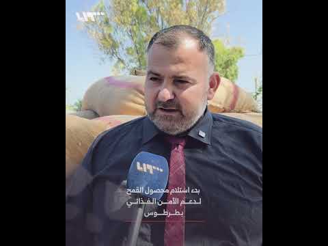 المؤسسة السورية للحبوب تستلم محصول القمح من المزارعين لدعم الأمن الغذائي بطرطوس thumbnail