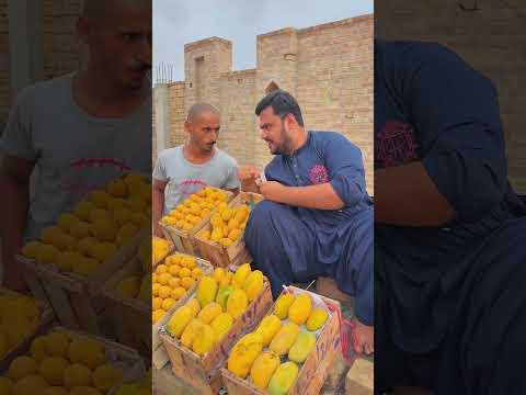 Insan bane mangoes? thumbnail
