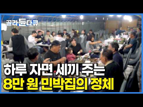 "남는게 있나요?" 점심은 흑염소 곰탕, 저녁은 흑염소 수육｜재워주고 세끼 차려주는데 8만 원이면 된다는 민박집 정체｜극한직업｜#골라듄다큐 thumbnail