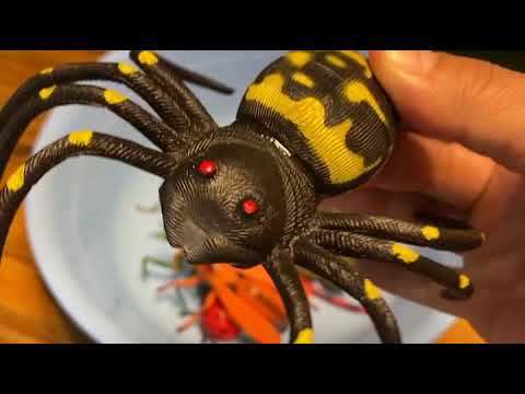 Let's learn Korean and English names for insects together after a long time I 오랜만에 곤충 이름 공부해봐요 thumbnail