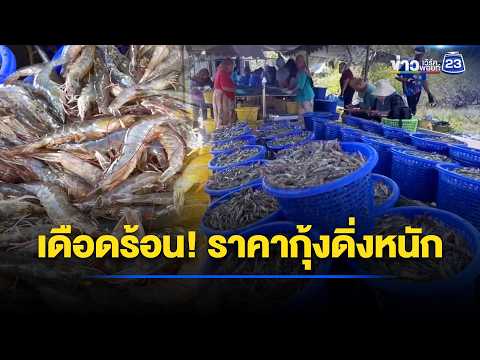 เดือดร้อน! ราคากุ้งดิ่งหนัก วอนช่วย l ตลาดข่าว - ข่าวเช้าเวิร์คพอยท์ l 4 มิ.ย.69 thumbnail
