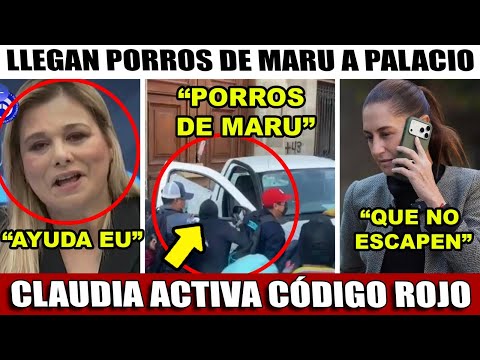 LLEGAN PORROS DE MARU A PALACIO! SE LLEVARON A 20 LOS UNIFORMADOS ¡CIA EN LA CAPITAL! thumbnail