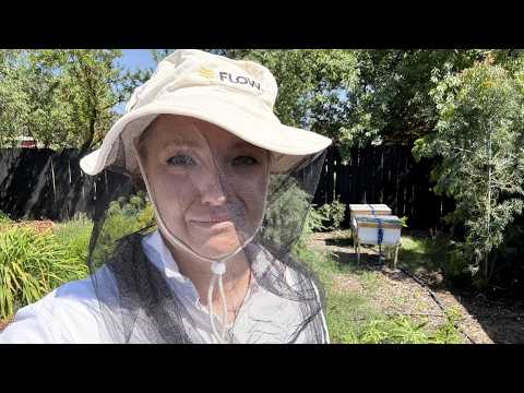 Planting Day Gone WRONG… When Bees Attack ? thumbnail
