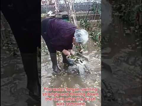 The most beautiful scene after the rain..an elderly woman cleaning the drain. #short,#kindness,#love thumbnail