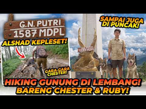 NAIK GUNUNG BARENG SERIGALA! CHESTER RUBY SENENG BANGET! ALSHAD SAMPE JATOH?! thumbnail