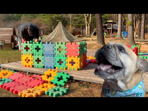 Warning: The All Day Tantrum Dog Gets a Dream Dog Mansion from Daddy! thumbnail