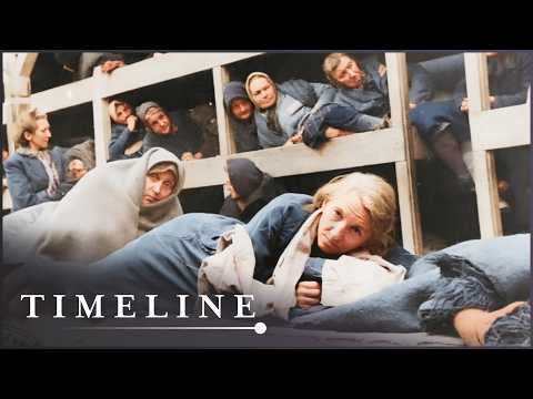 What Was Daily Life Like Inside Auschwitz-Birkenau? thumbnail