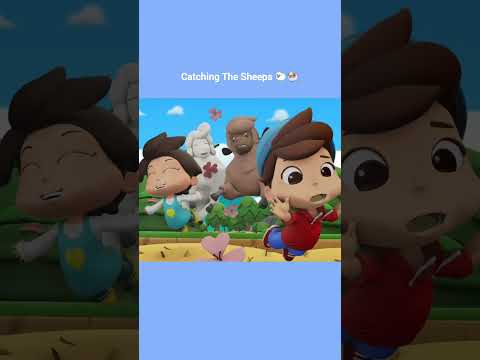 Catching The Sheeps 🐏🐑| Islamic Series & Songs For Kids | Omar & Hana English thumbnail