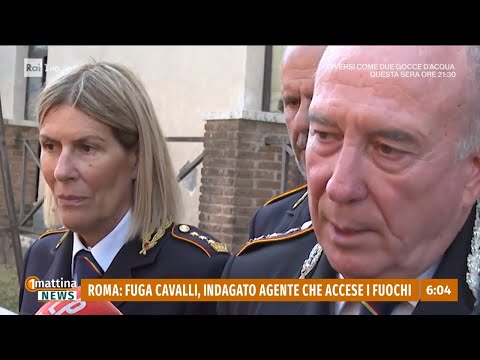Fuochi artificiali e cavalli in fuga, agente indagato a Roma - 1mattina News 04/06/2026 thumbnail