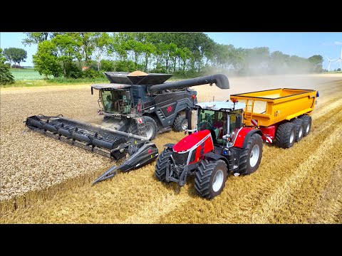 Wheat Harvest '24 | NEW MASSEY FERGUSON IDEAL 7 + MF 8S 305 | NIVU thumbnail