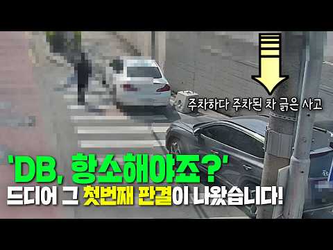 27734회. 다른 보험사는 항소 안 해도, DB는 합니다! 제가 DB에 항소하라고 해서 항소한 첫번째 판결이 나왔습니다!! 100:0 thumbnail