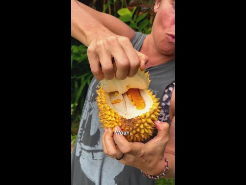 Have You Ever Seen A Fruit Like This? thumbnail