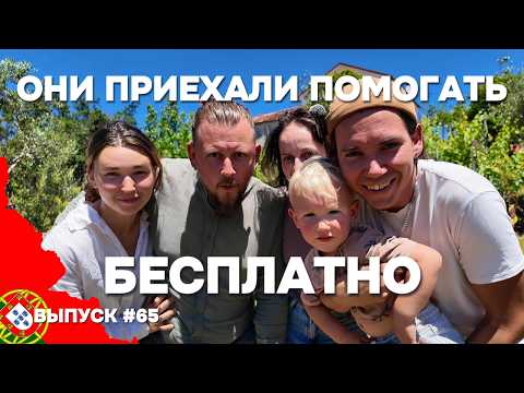 Первые волонтёры в моём доме в Португалии! Не ожидал такого результата | Дом в Португалии. Выпуск 65 thumbnail