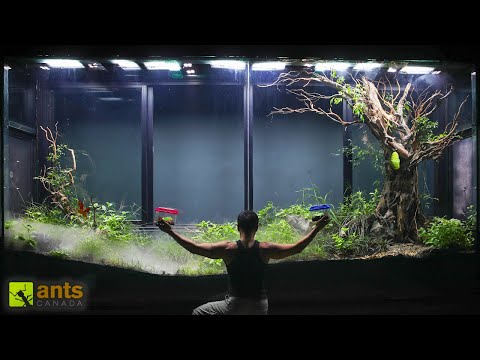I Added Herbivores Into My Giant Grassland Vivarium thumbnail
