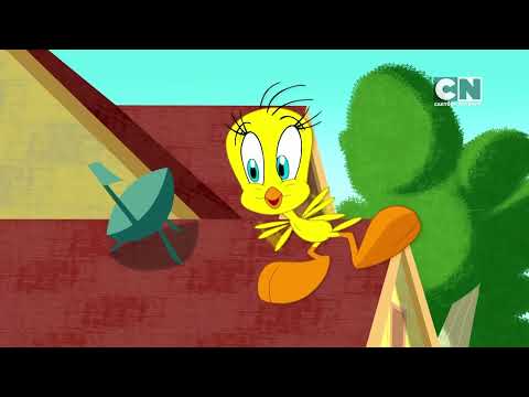 THE LOONEY TUNES SHOW | Is that putty tat? | Cartoon Network thumbnail