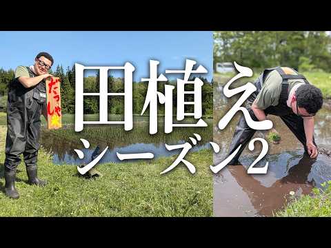 【お米作り】 石川典行のだっしゃ米作り　田植え編 thumbnail